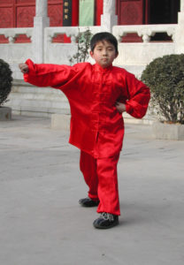 Kinder Kung Fu Anzug